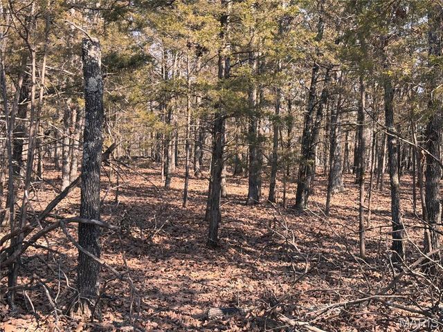 85 Barnicle Chapel Road, Steelville, MO 65565