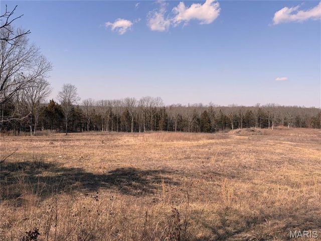 85 Barnicle Chapel Road, Steelville, MO 65565