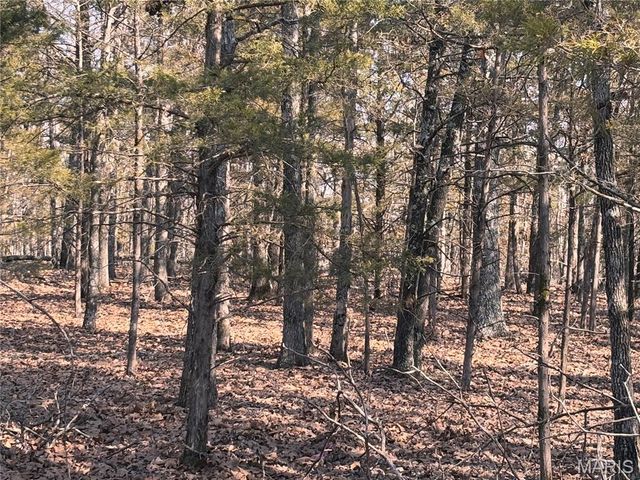 85 Barnicle Chapel Road, Steelville, MO 65565