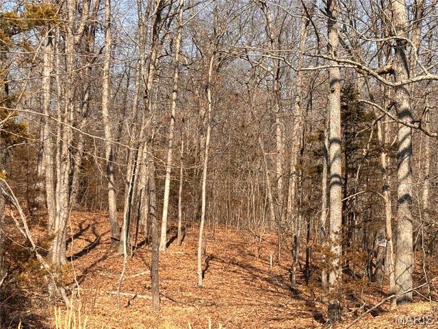 85 Barnicle Chapel Road, Steelville, MO 65565