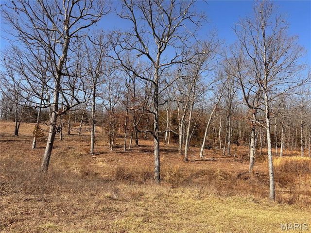 85 Barnicle Chapel Road, Steelville, MO 65565