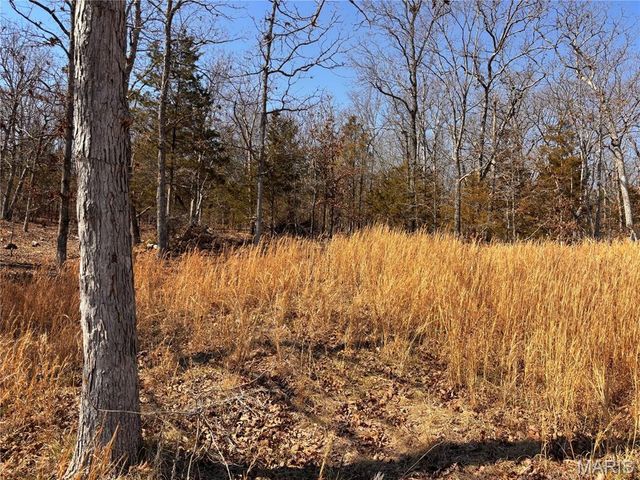 85 Barnicle Chapel Road, Steelville, MO 65565