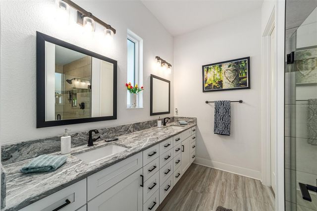 2577 ZAWACKI PATH, Middleton, FL 34762