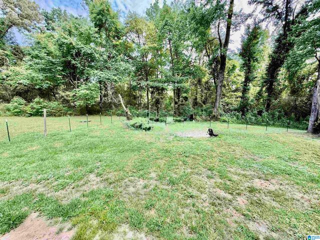 11088 HAGLER COALING ROAD, Coaling, AL 35453