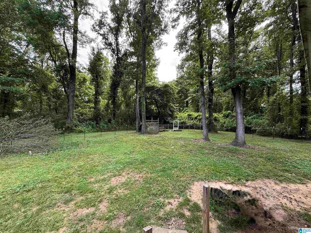 11088 HAGLER COALING ROAD, Coaling, AL 35453