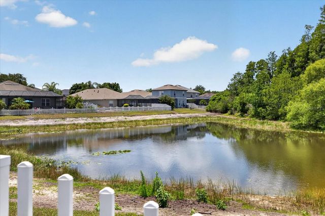 3139 DONINGTON CASTLE LANE, Land O Lakes, FL 34638