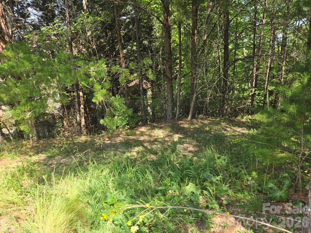 Lot 1 & 2 Eagles Crest Way, Lake Lure, NC 28746