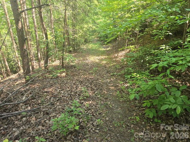 Lot 1 & 2 Eagles Crest Way, Lake Lure, NC 28746