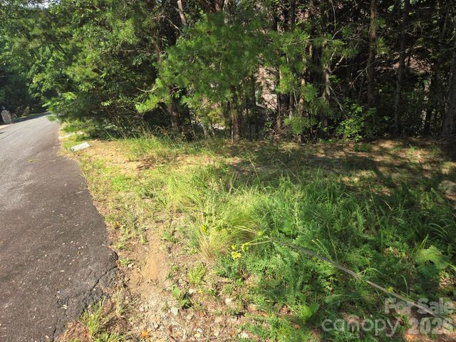 Lot 1 & 2 Eagles Crest Way, Lake Lure, NC 28746