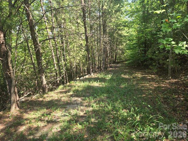 Lot 1 & 2 Eagles Crest Way, Lake Lure, NC 28746