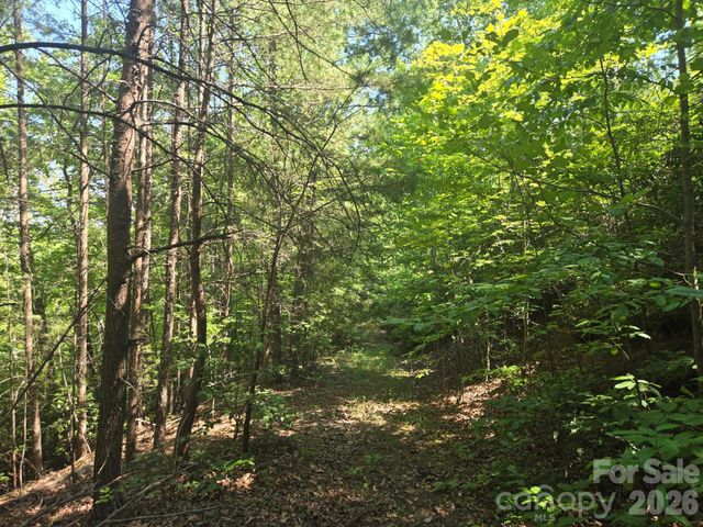 Lot 1 & 2 Eagles Crest Way, Lake Lure, NC 28746