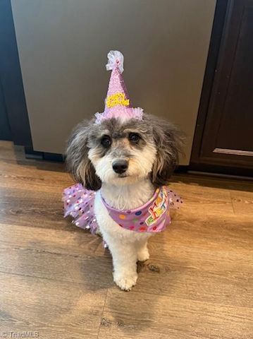 5180 Sedge Hollow Drive, Kernersville, NC 27284