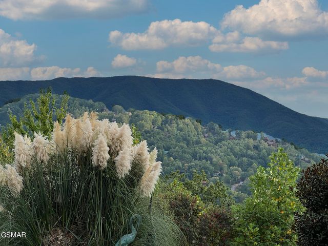 1642 Little Cove Road, Sevierville, TN 37862