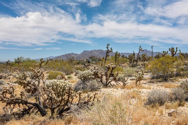 6655 Saddleback Road, Joshua Tree, CA 92252