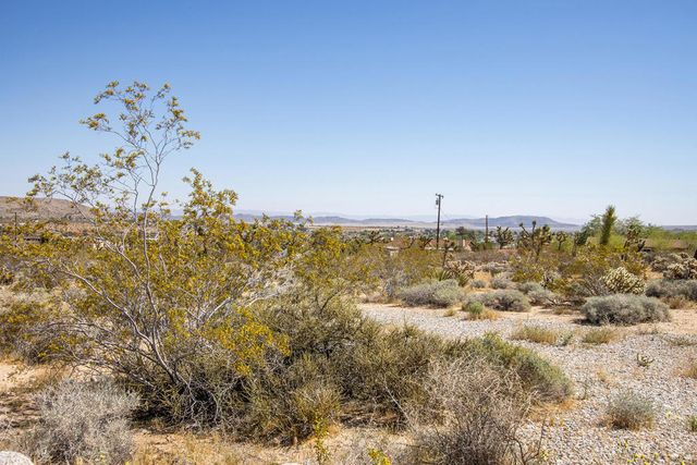 6655 Saddleback Road, Joshua Tree, CA 92252