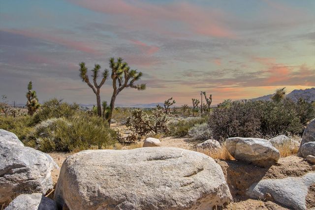 6655 Saddleback Road, Joshua Tree, CA 92252