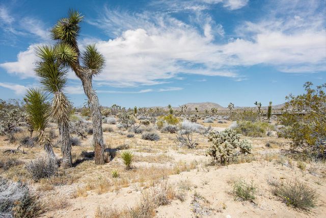 6655 Saddleback Road, Joshua Tree, CA 92252