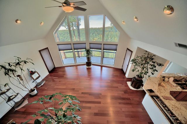 19015 E Pine Dr, Pioneer, CA 95666