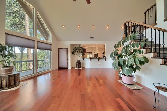 19015 E Pine Dr, Pioneer, CA 95666