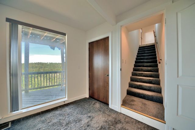 19015 E Pine Dr, Pioneer, CA 95666