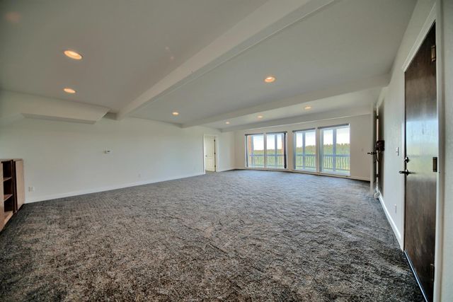 19015 E Pine Dr, Pioneer, CA 95666