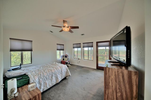19015 E Pine Dr, Pioneer, CA 95666