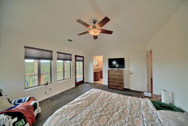19015 E Pine Dr, Pioneer, CA 95666
