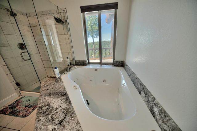 19015 E Pine Dr, Pioneer, CA 95666