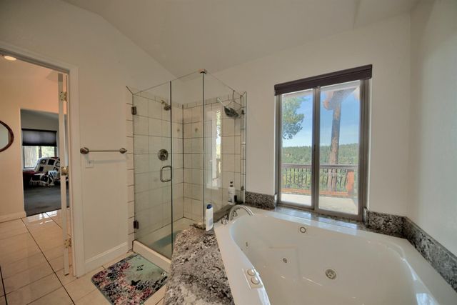 19015 E Pine Dr, Pioneer, CA 95666