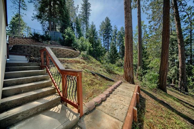 19015 E Pine Dr, Pioneer, CA 95666