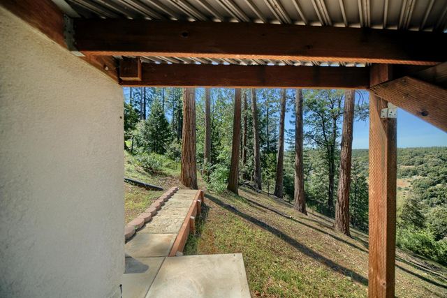 19015 E Pine Dr, Pioneer, CA 95666