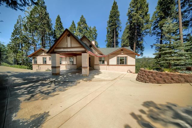 19015 E Pine Dr, Pioneer, CA 95666