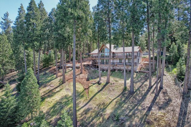 19015 E Pine Dr, Pioneer, CA 95666