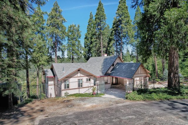 19015 E Pine Dr, Pioneer, CA 95666