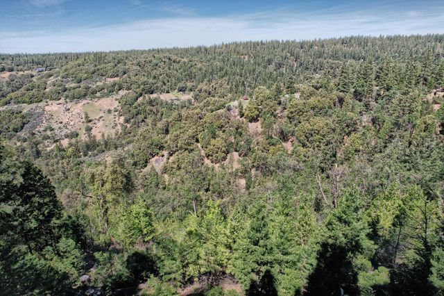 19015 E Pine Dr, Pioneer, CA 95666