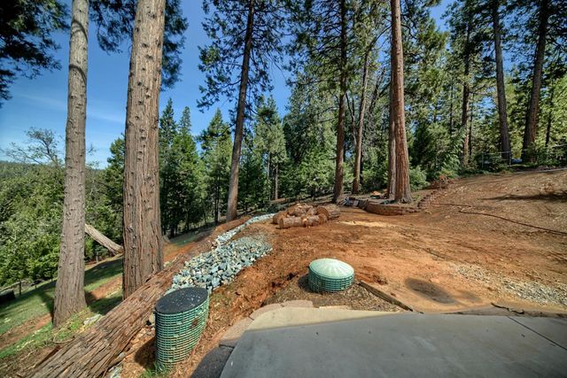19015 E Pine Dr, Pioneer, CA 95666