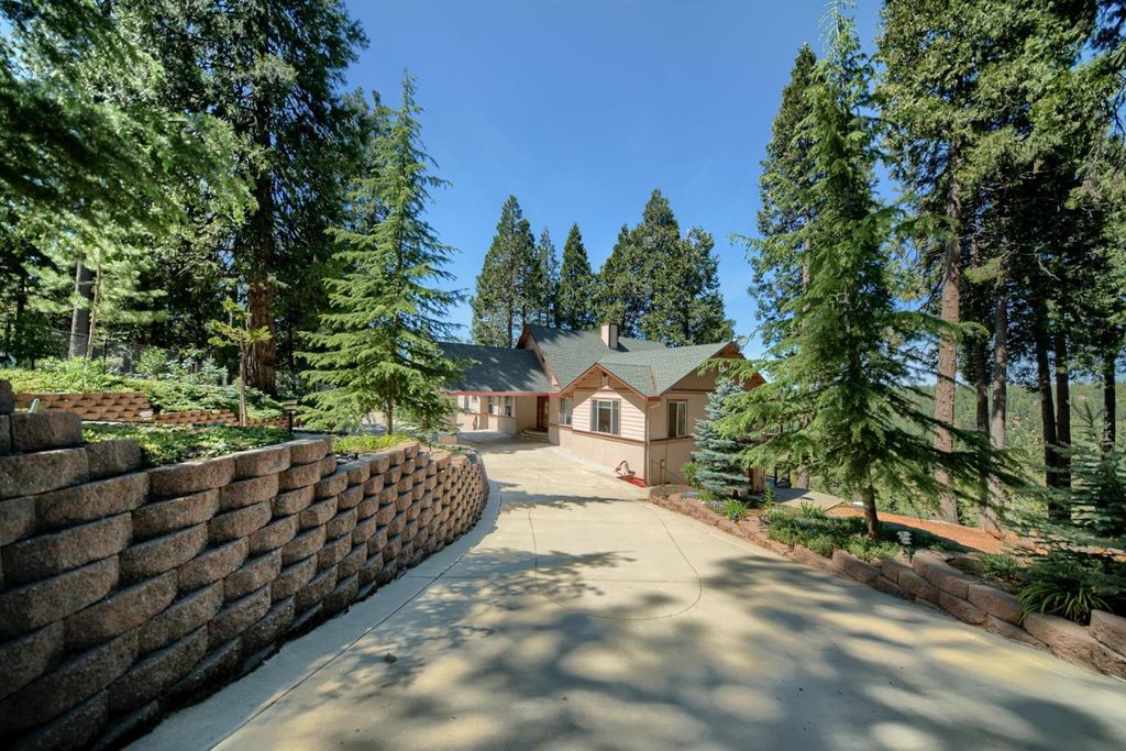 19015 E Pine Dr, Pioneer, CA 95666