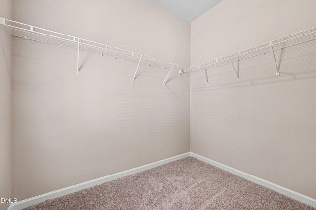 702 Orchard Vista Circle, Raleigh, NC 27606