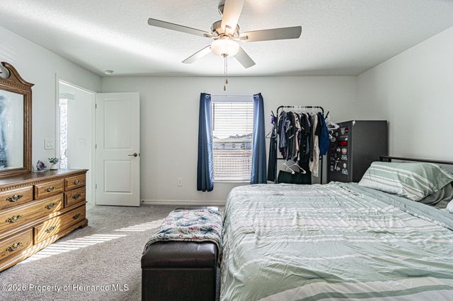 11638 Lavender Loop, Spring Hill, FL 34609