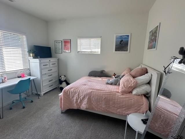 822 Cabernet Court, Palisade, CO 81526