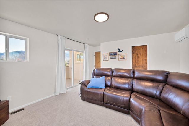 822 Cabernet Court, Palisade, CO 81526