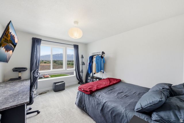 996 W 360 S, American Fork, UT 84003