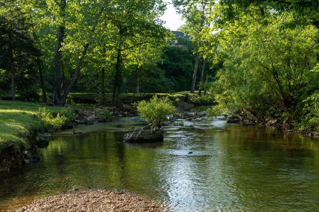 15 Birdie Lane 3, Branson West, MO 65737