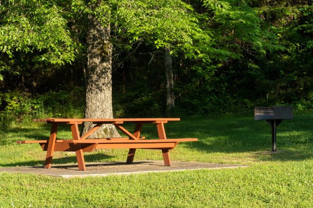 15 Birdie Lane 3, Branson West, MO 65737