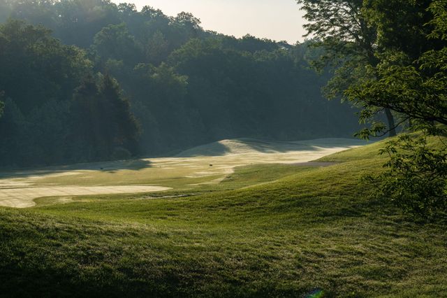 15 Birdie Lane 3, Branson West, MO 65737