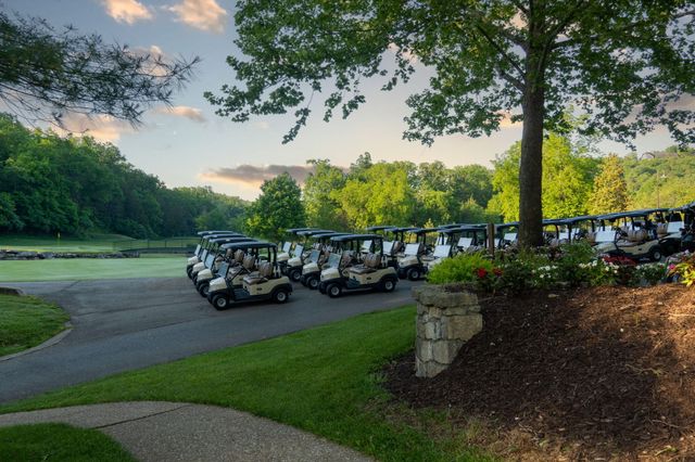 15 Birdie Lane 3, Branson West, MO 65737