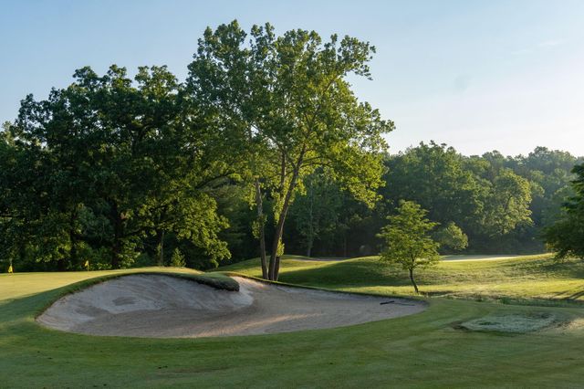 15 Birdie Lane 3, Branson West, MO 65737