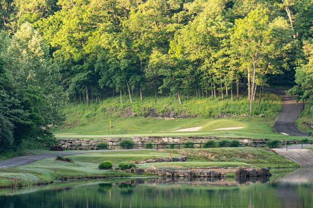 15 Birdie Lane 3, Branson West, MO 65737