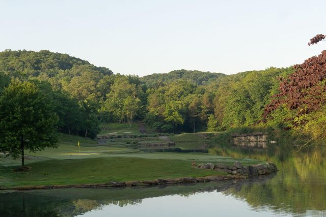 15 Birdie Lane 3, Branson West, MO 65737