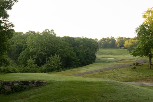 15 Birdie Lane 3, Branson West, MO 65737